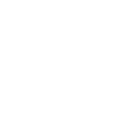 asure.mx